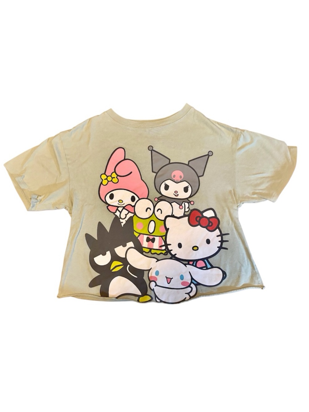 Sanrio Beige Graphic Tee with Hello Kitty & Friends
